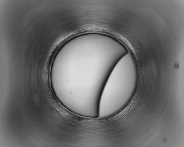 X0000101201027200806270824