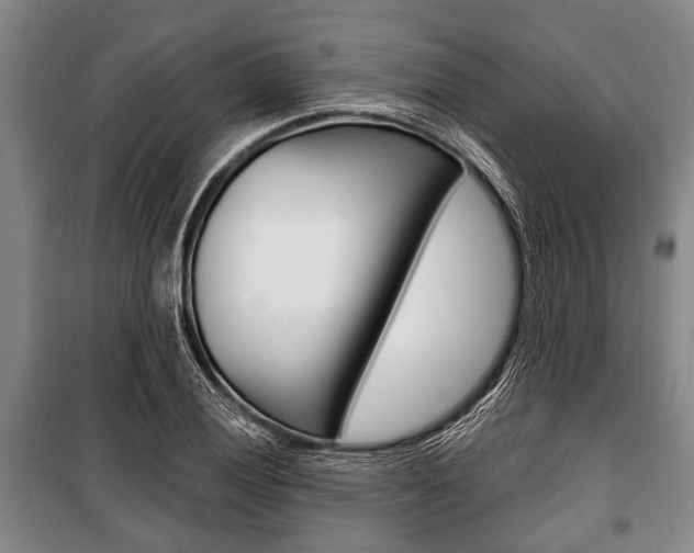 X0000101201028200806270825