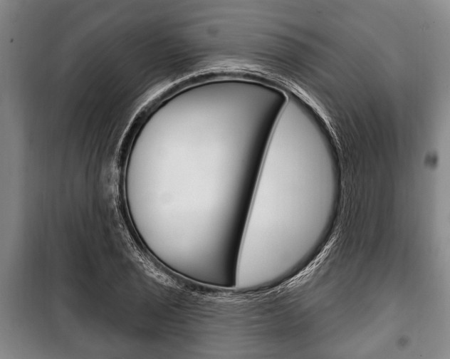 X0000101201029200806270825