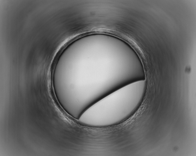 X0000101201032200806270825