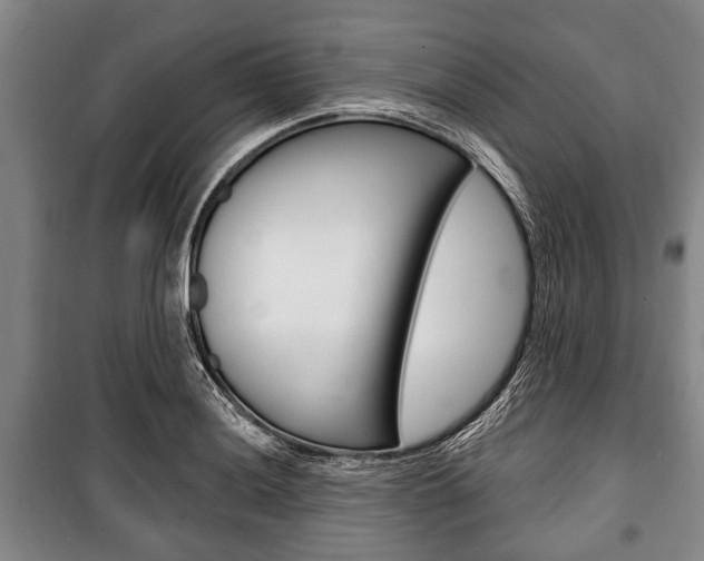 X0000101201036200806270825