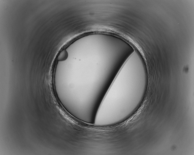 X0000101201037200806270825