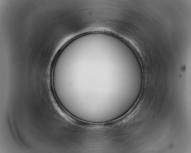 X0000101201038200806270825