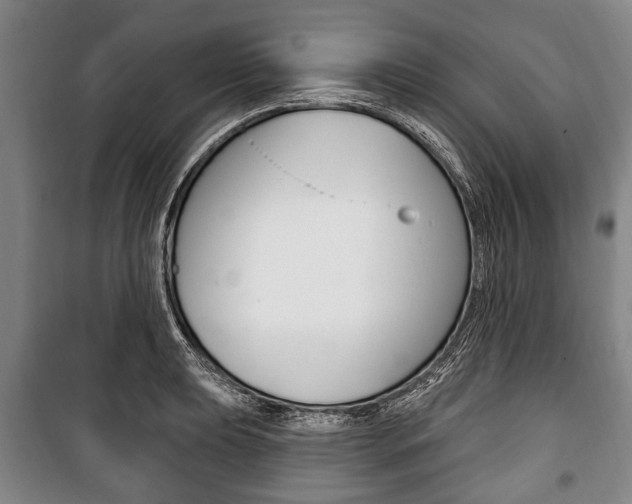 X0000101201039200806270825