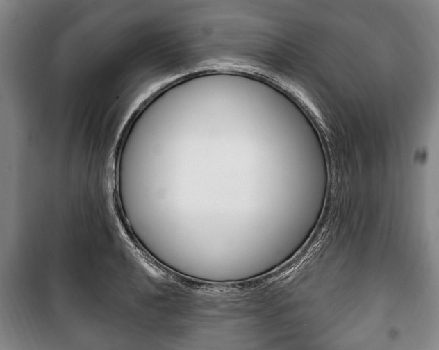 X0000101201040200806270825