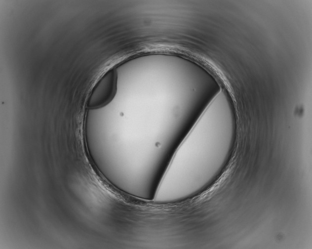 X0000101201041200806270825