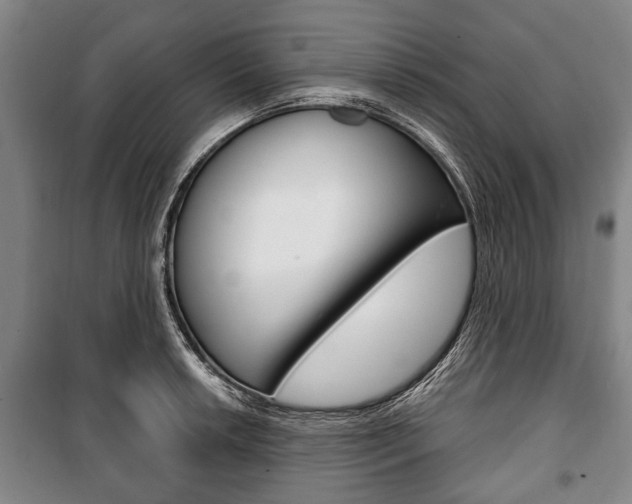 X0000101201042200806270825