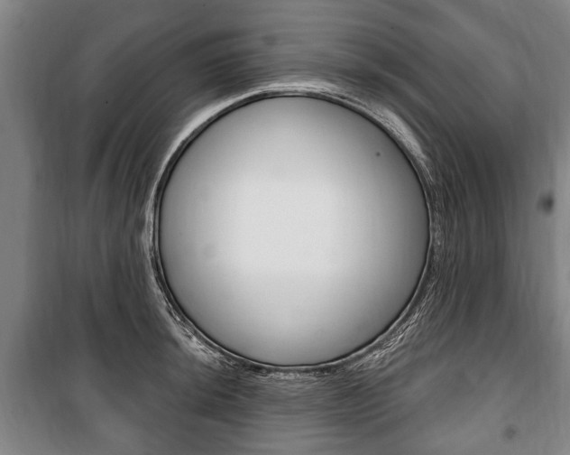 X0000101201044200806270825
