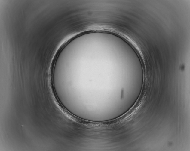 X0000101201045200806270825