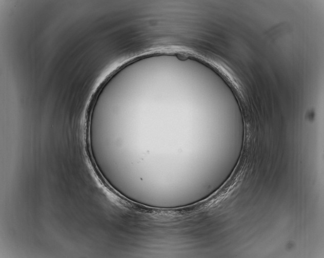 X0000101201046200806270825