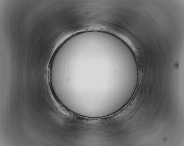 X0000101201047200806270825