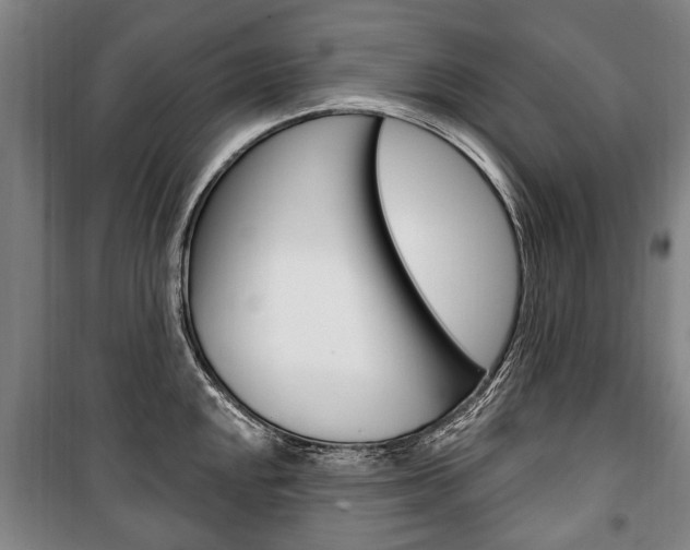 X0000101201048200806270825