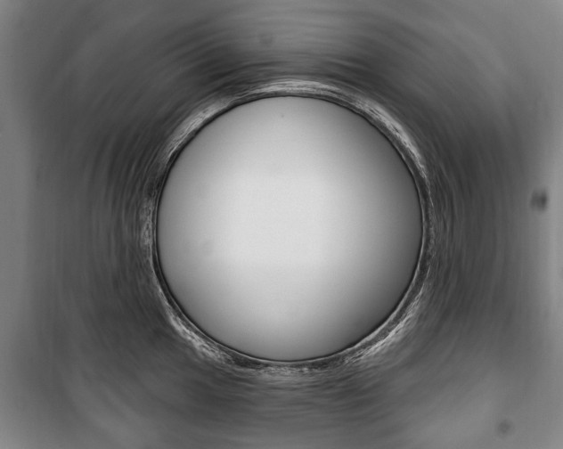 X0000101201049200806270825
