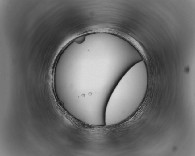 X0000101201051200806270825
