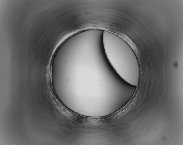 X0000101201052200806270825