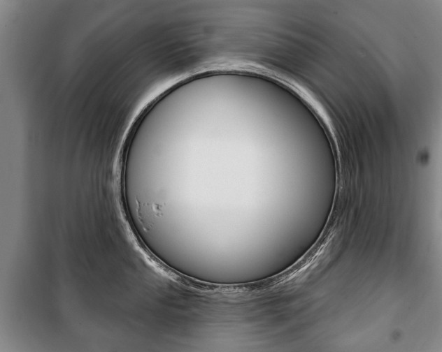 X0000101201053200806270825