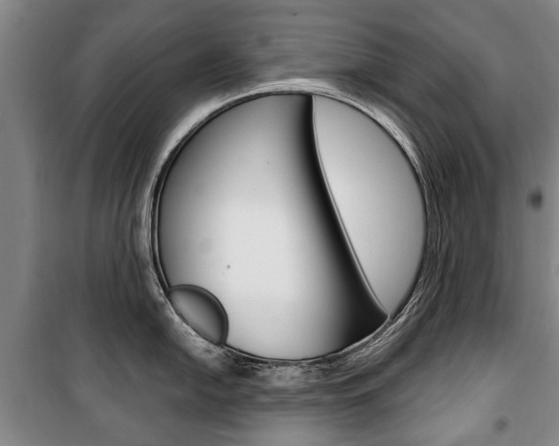 X0000101201054200806270825