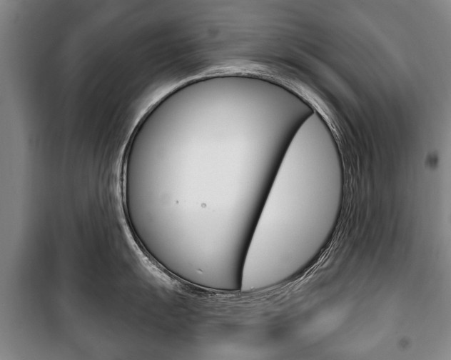 X0000101201055200806270825