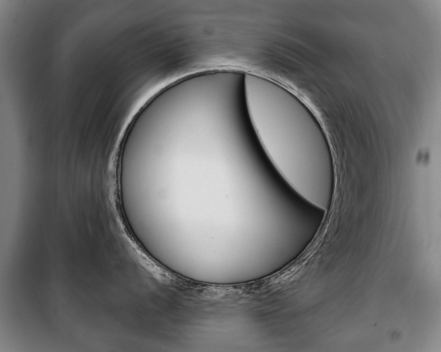 X0000101201056200806270825