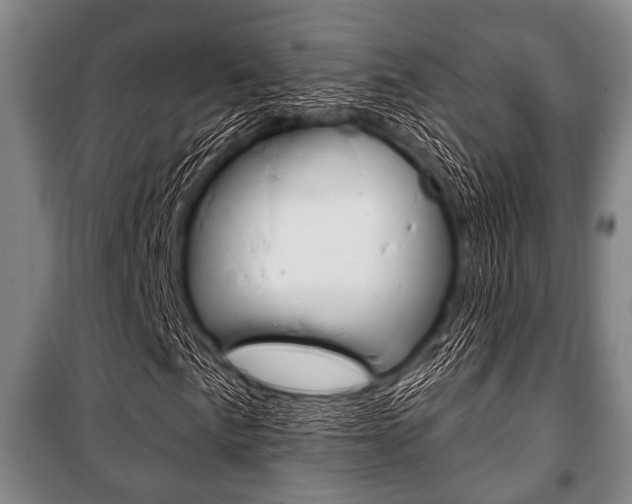 X0000101201057200806270824