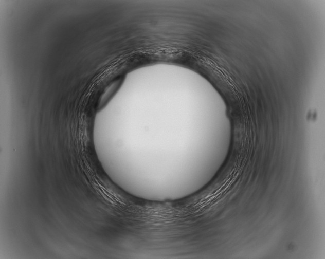 X0000101201058200806270824