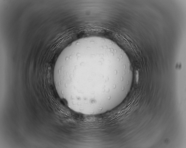X0000101201059200806270824
