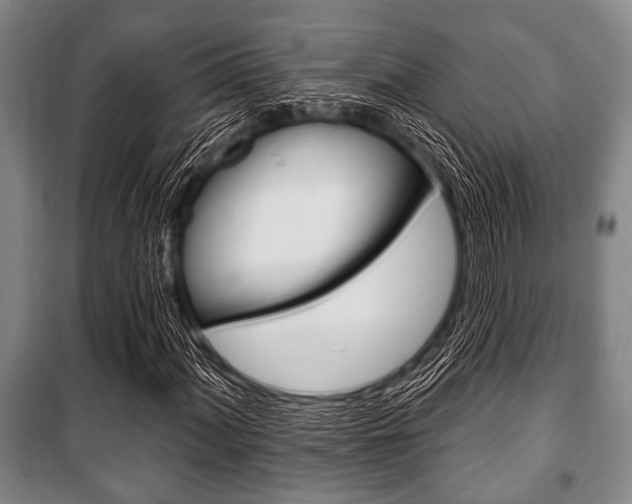 X0000101201060200806270824