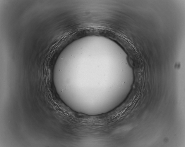 X0000101201061200806270824