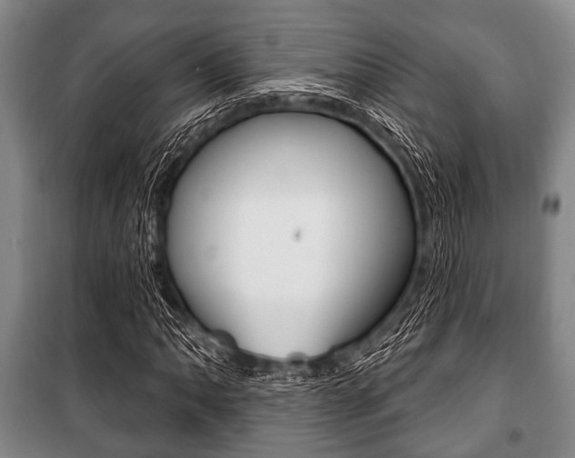 X0000101201062200806270824