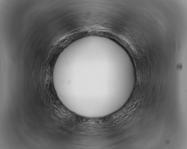 X0000101201063200806270824