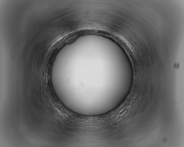 X0000101201064200806270824