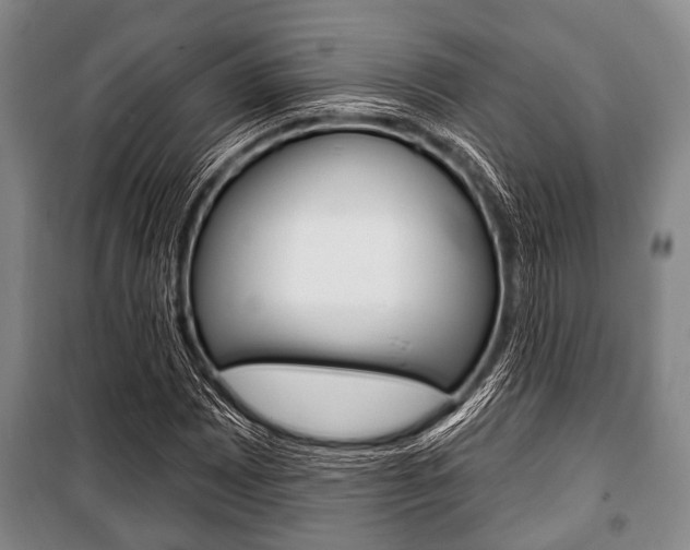 X0000101201065200806270824