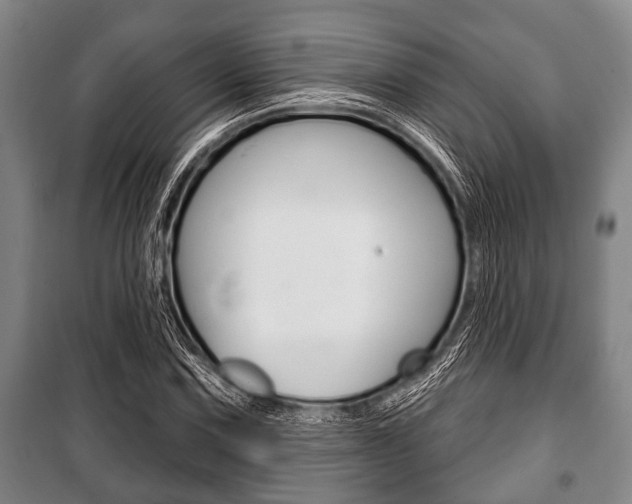 X0000101201067200806270824