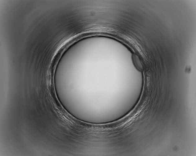 X0000101201069200806270824
