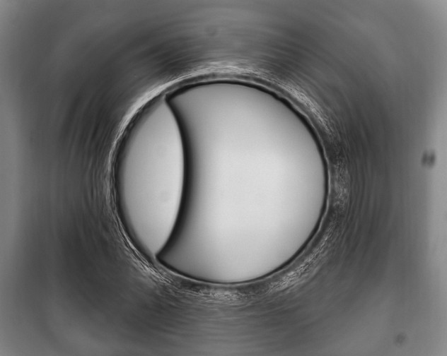 X0000101201070200806270824