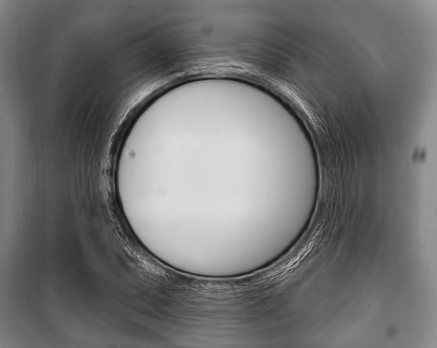X0000101201071200806270824