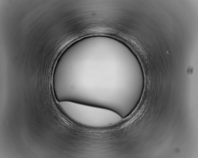 X0000101201073200806270824