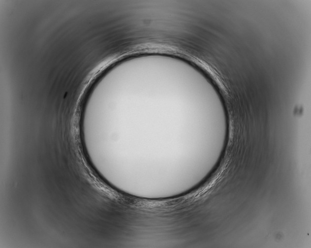 X0000101201074200806270824