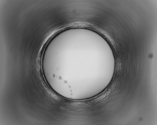 X0000101201075200806270824
