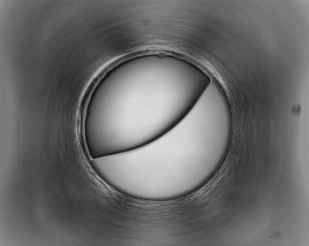 X0000101201076200806270824