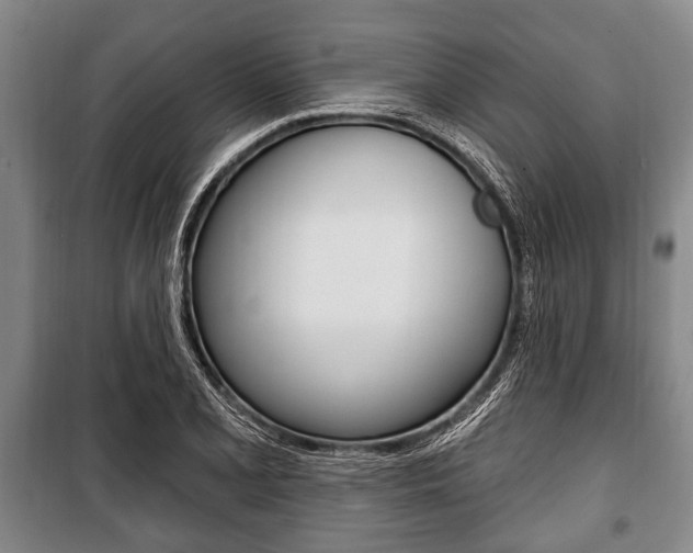 X0000101201077200806270824