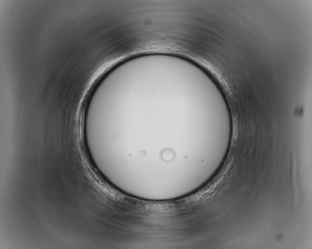X0000101201078200806270824