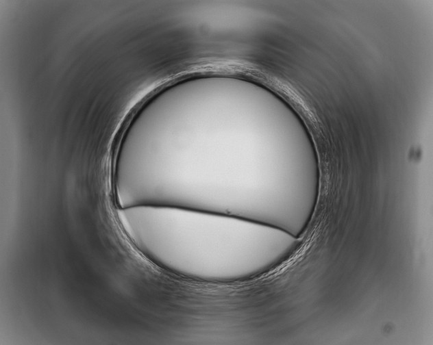 X0000101201079200806270824