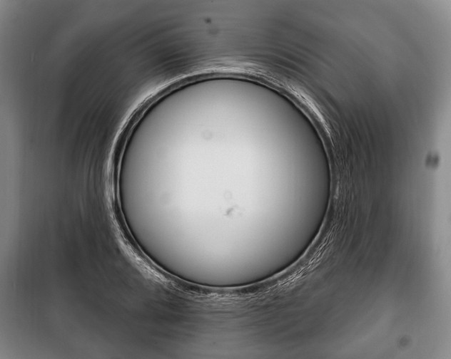 X0000101201080200806270824