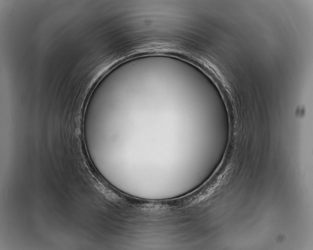 X0000101201081200806270824