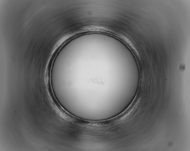 X0000101201082200806270824