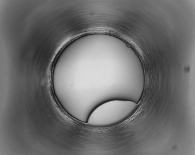 X0000101201083200806270824