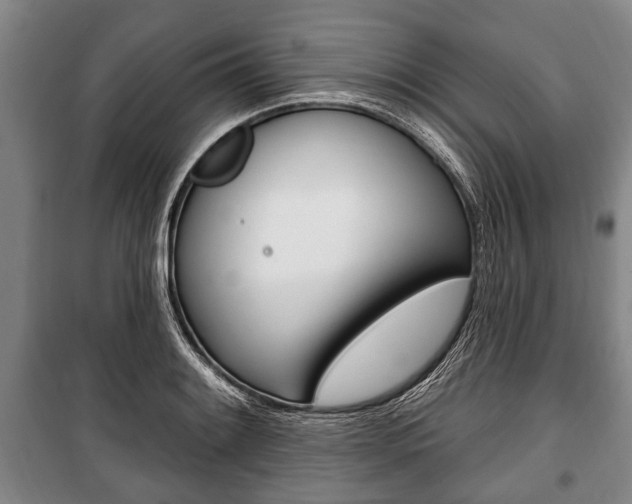 X0000101201084200806270824