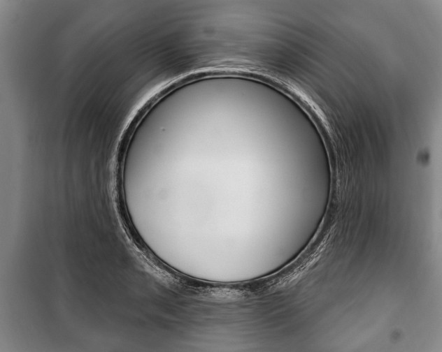 X0000101201085200806270824