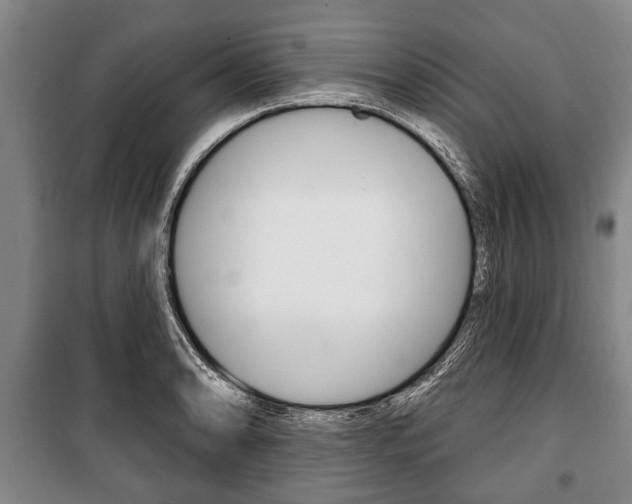 X0000101201086200806270824